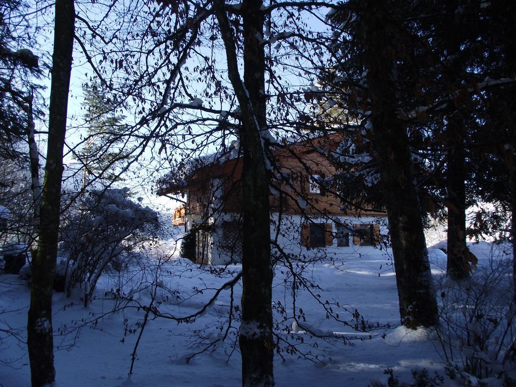 Ferienwohnung Am Roemerweg Wald Inzell Exterior photo